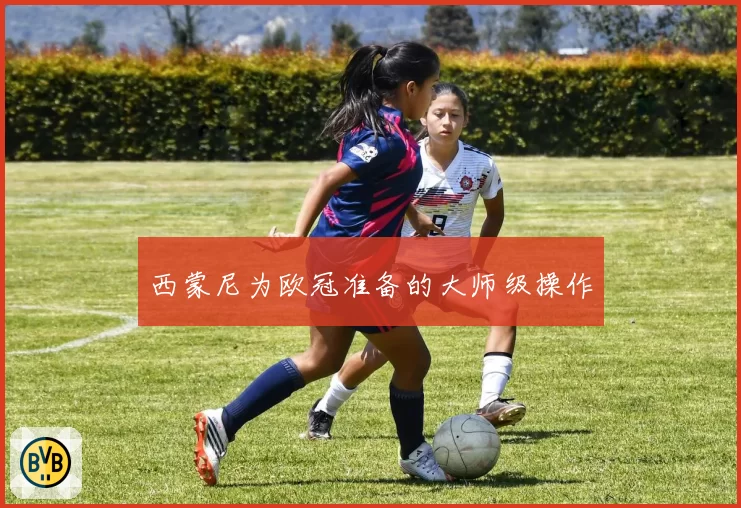 西蒙尼为欧冠准备的大师级操作