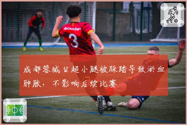 成都蓉城甘超小腿被踩踏导致淤血肿胀，不影响后续比赛