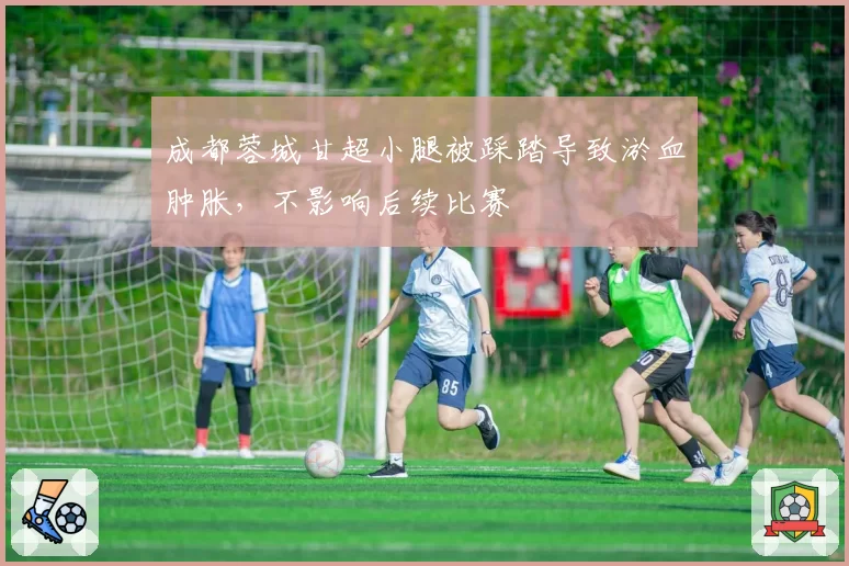 成都蓉城甘超小腿被踩踏导致淤血肿胀，不影响后续比赛