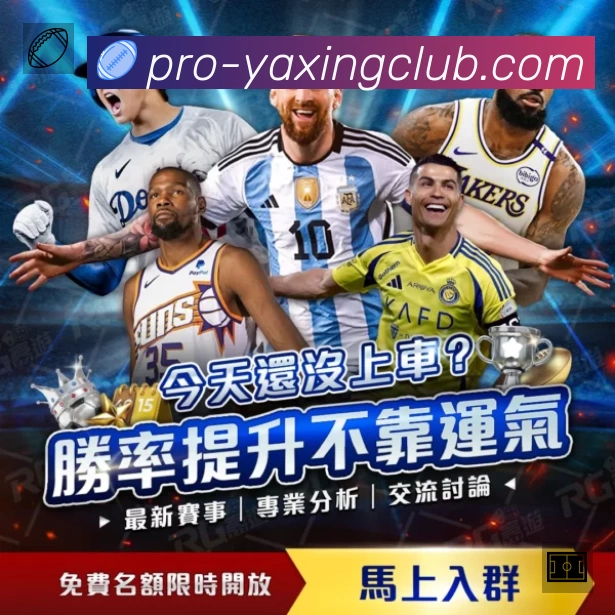 看点解析